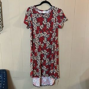 Beautiful rose dress XXS NWOT